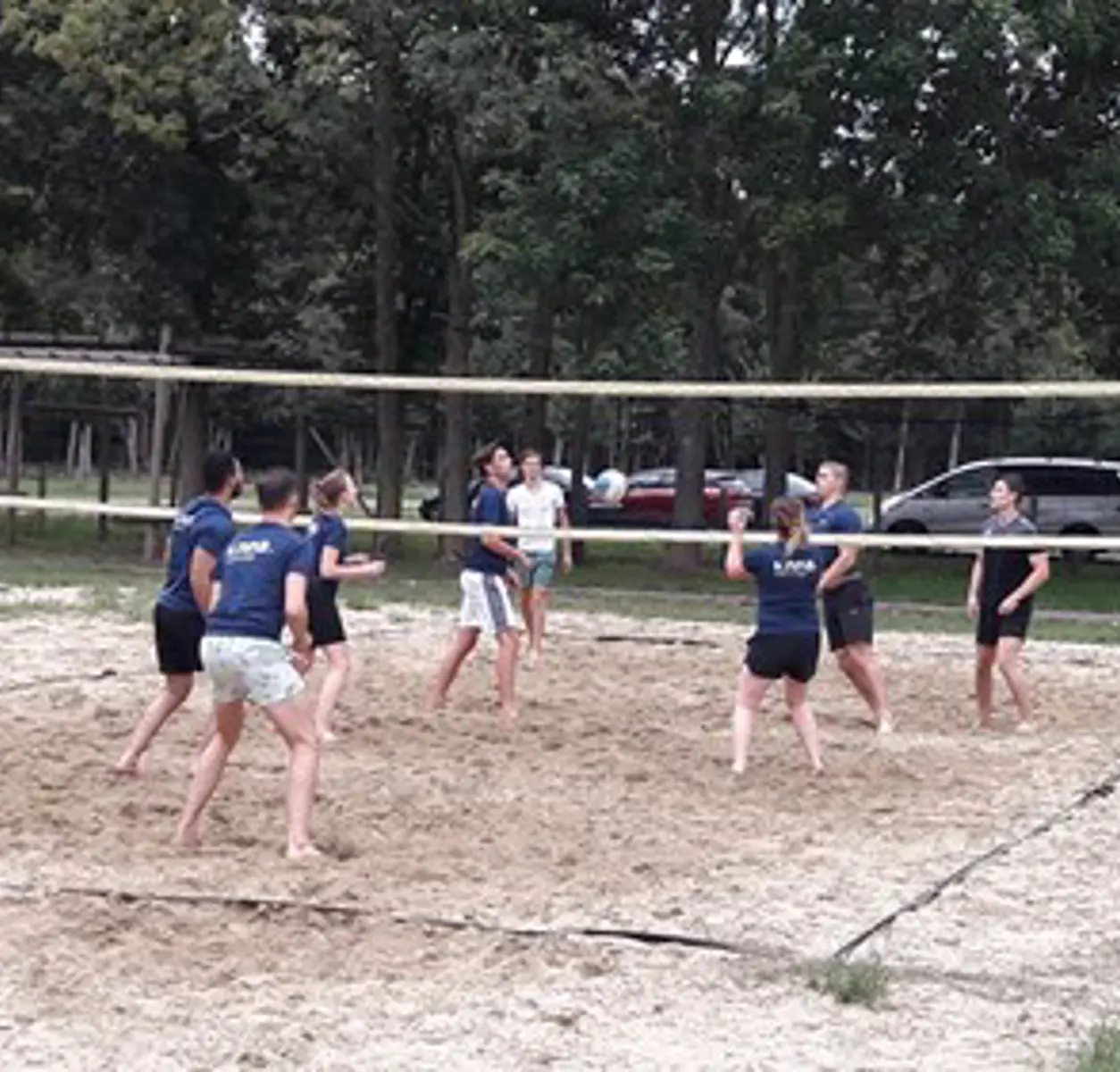 Volleybal