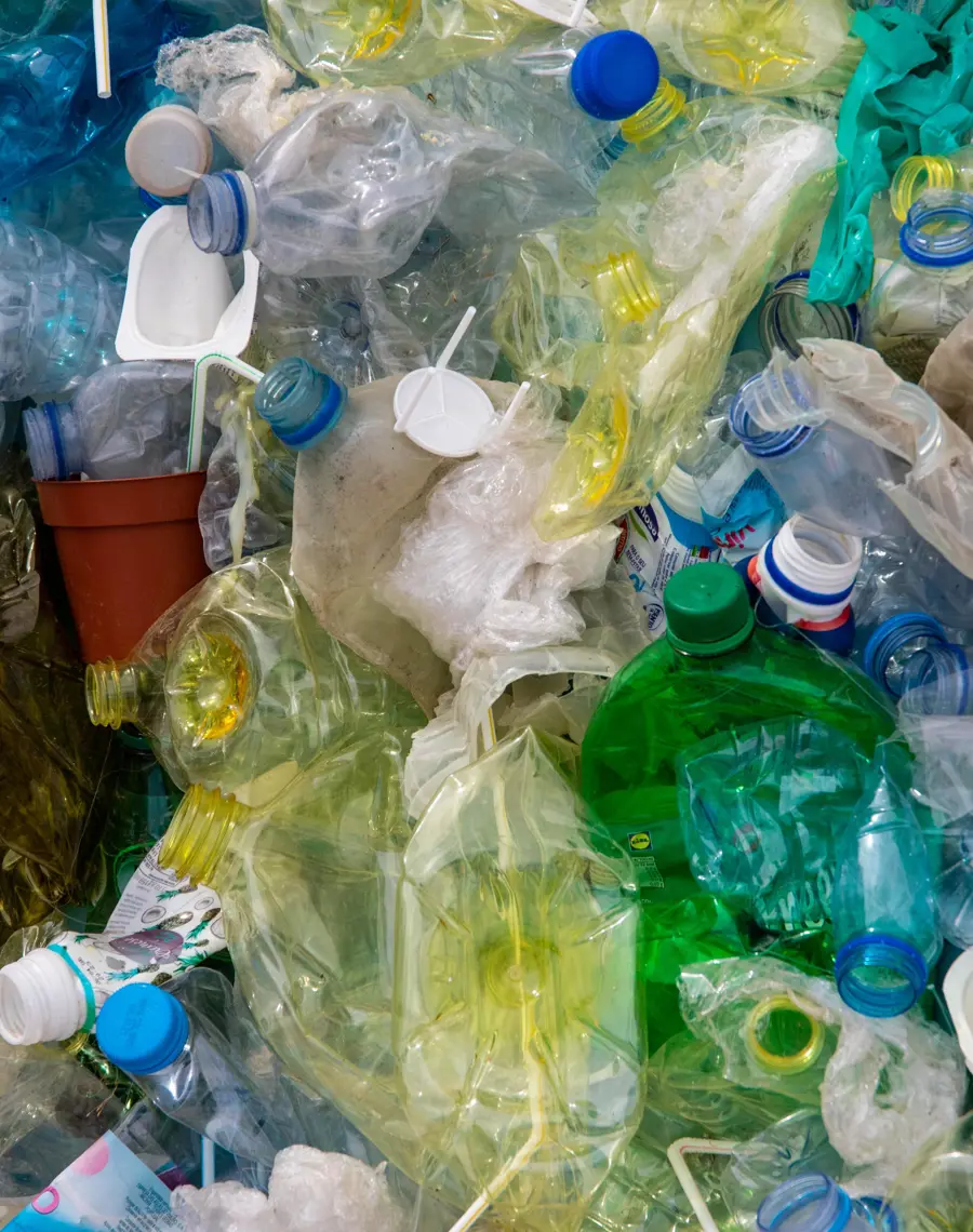 Pexels Magda Ehlers 2547565