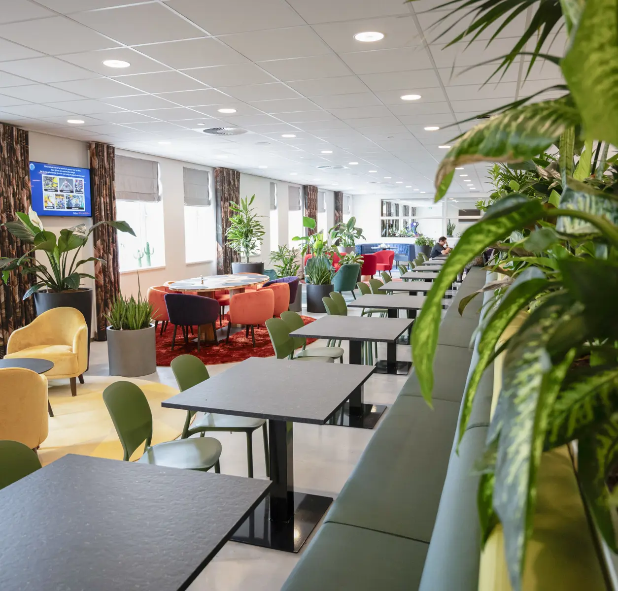 Karin Ronden Ellis Rosendahl2 (2)