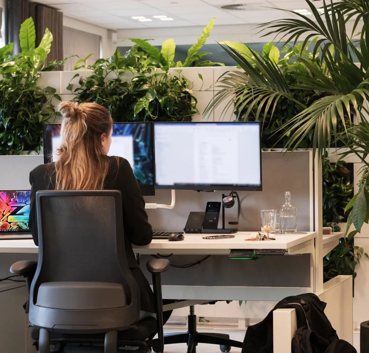 Whatsapp Image 2024 08 05 At 16.58.35 (1)